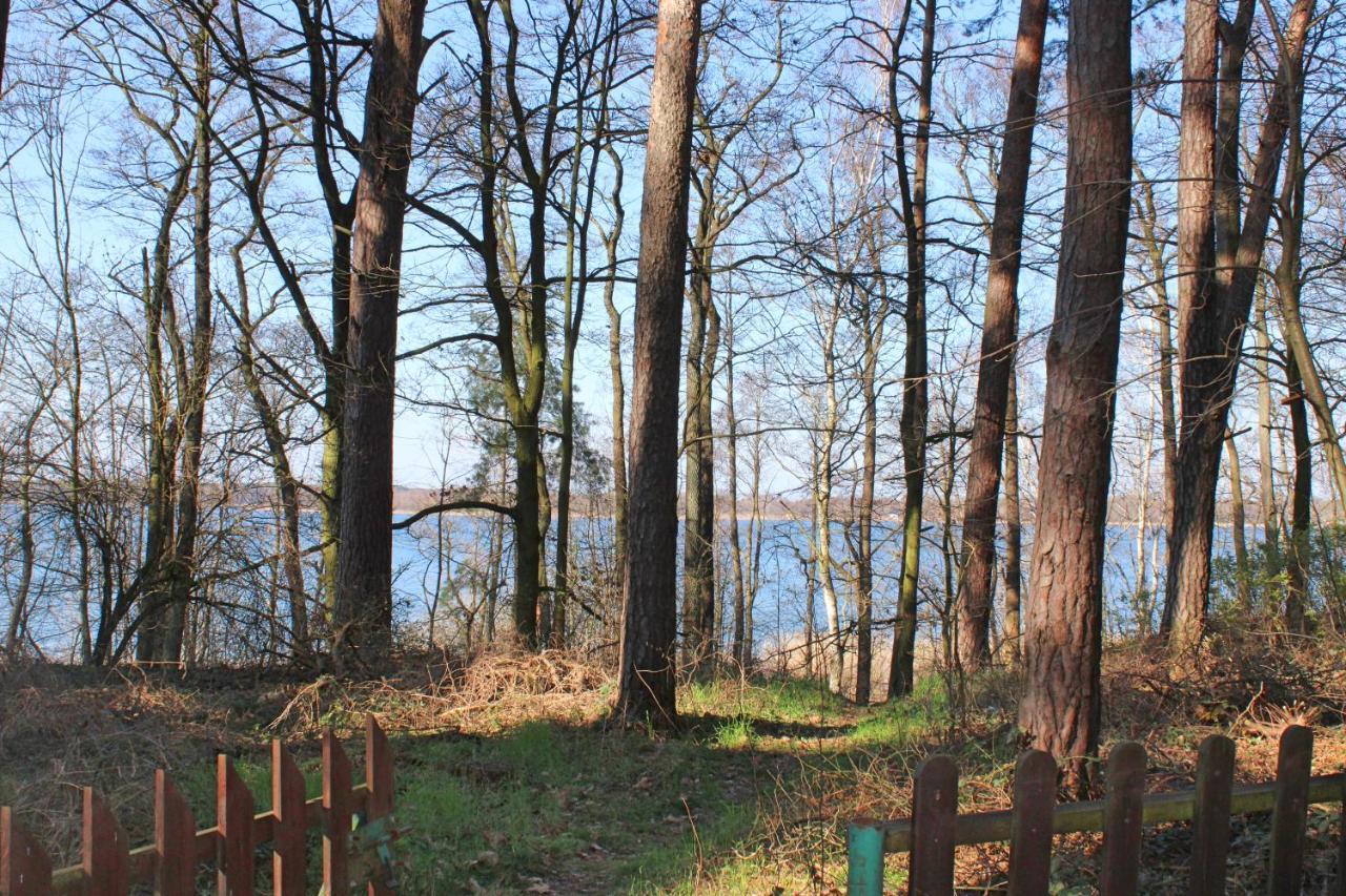 Villa Swierkowy Domek Boszkowo Exterior foto